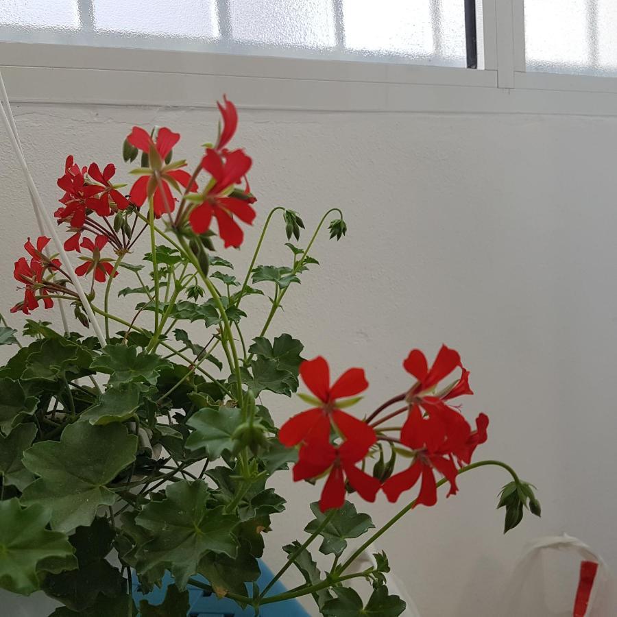 פוגרדץ Klent Studio Apartment מראה חיצוני תמונה